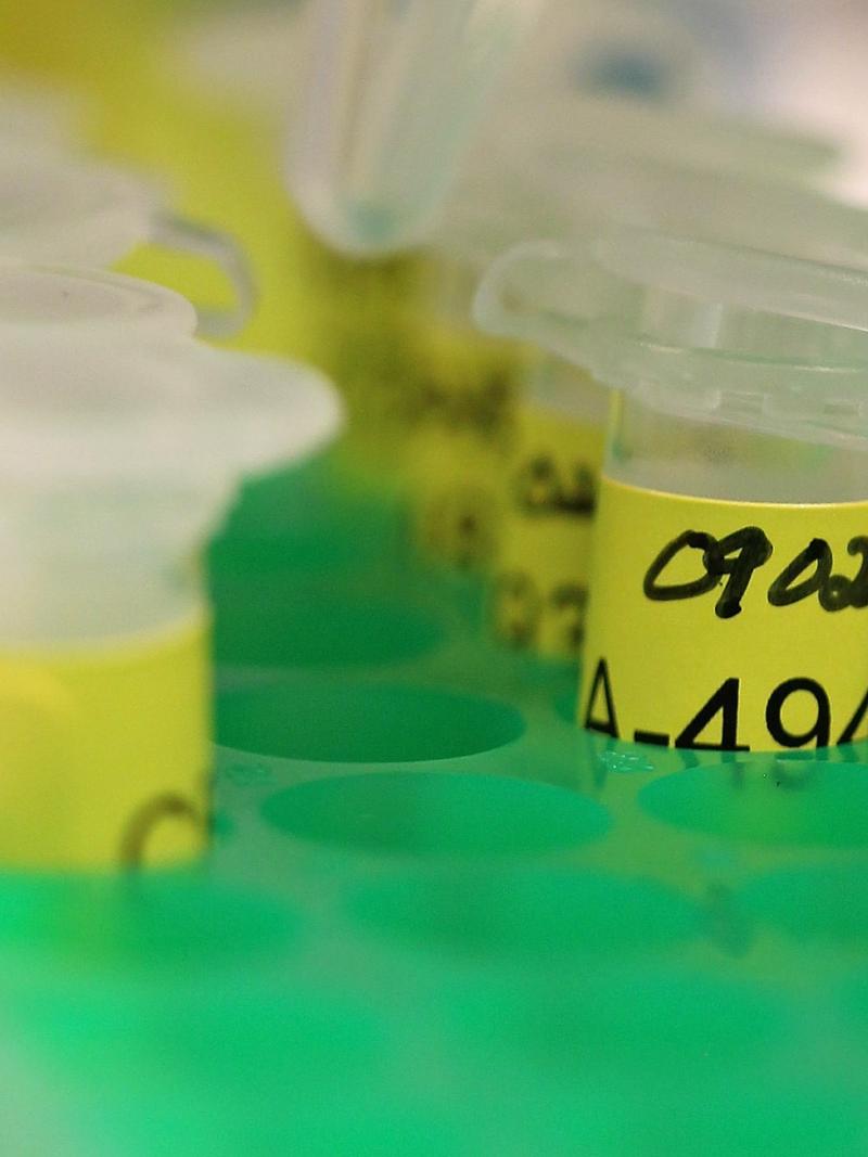 An image showing laboratory plastic tubes