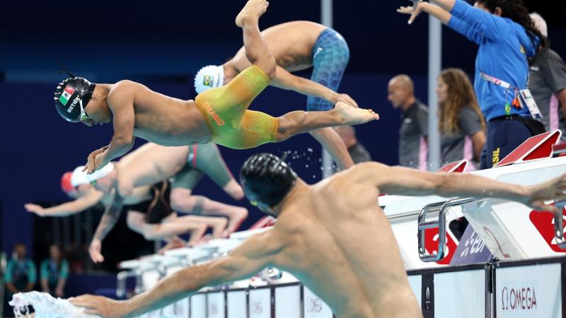 Swimmers jump into the pool to start their campaigns